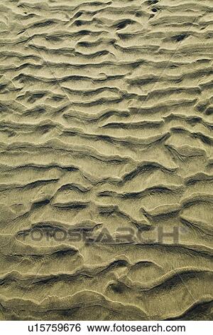 pattern on the sand, chesterman beach, tofino, canada View Large Photo Image Stock Photograph - pattern on the sand, chesterman beach, tofino, canada. Fotosearch