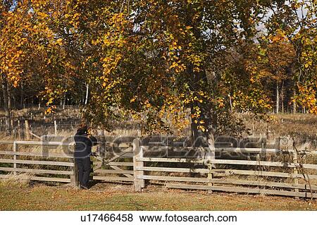 person standing by a fence, northumberland, england View Large Photo Image Stock Photo - person standing by a fence, northumberland, england. Fotosearch