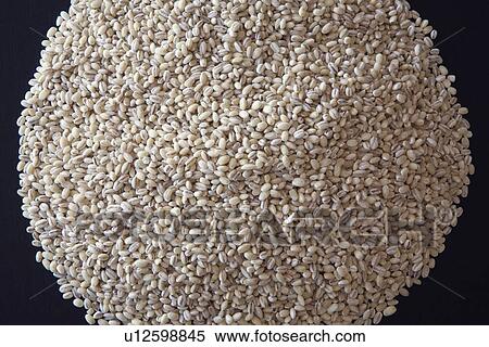 pot barley View Large Photo Image Stock Photography - pot barley. Fotosearch