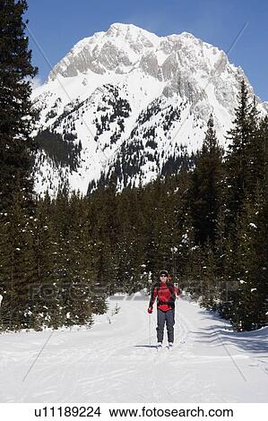 Woman cross country skiing in the mountains View Large Photo Image Picture - Woman cross country skiing in the mountains. Fotosearch
