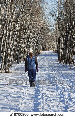 Woman walking on pathway in the winter View Large Photo Image Stock Image - Woman walking on pathway in the winter. Fotosearch