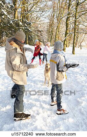Family Having Snowball Fight In Snowy Woodland View Large Photo Image Stock Image - Family Having Snowball Fight In Snowy Woodland. Fotosearch