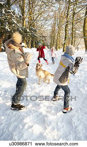 Stock Image - Family Having Snowball Fight In Snowy Woodland. Fotosearch