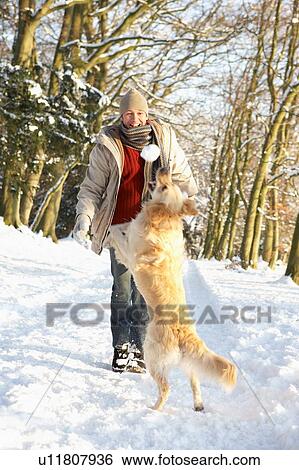 Stock Photograph - Man Walking Dog Through Snowy Woodland. Fotosearch