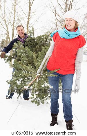 Senior Couple Carrying Christmas Tree In Snowy Landscape View Large Photo Image Stock Photography - Senior Couple Carrying Christmas Tree In Snowy Landscape. Fotosearch