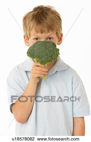 Studio Portrait Of Young Boy Holding Broccoli View Large Photo Image Stock Image - Studio Portrait Of Young Boy Holding Broccoli. Fotosearch