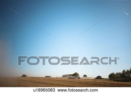 2 combines and two large grain trucks spread out in field, Redvers, Saskatchewan, Canada View Large Photo Image Stock Image - 2 combines and two large grain trucks spread out in field, Redvers, Saskatchewan, Canada. Fotosearch