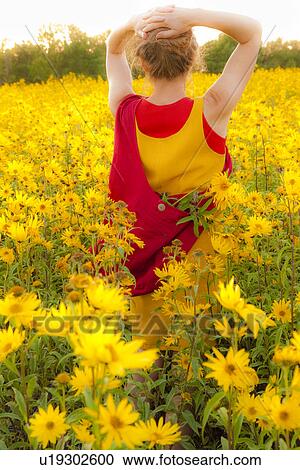 Stock Image - Back view of woman standing in field of yellow flowers, Manitoba, Canada. Fotosearch