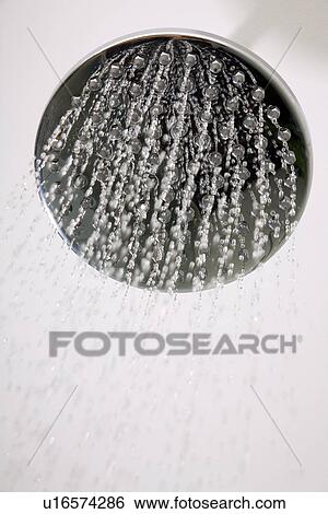 Stock Photograph - Cactus in shower. Fotosearch