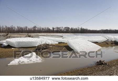 Chunks of spring ice on the Red River, rural Manitoba View Large Photo Image Stock Photo - Chunks of spring ice on the Red River, rural Manitoba. Fotosearch