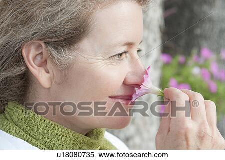 Stock Photography - Close-up woman smells petunia, Manitoba, Canada. Fotosearch