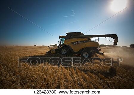Stock Image - Combine in field, Redvers, Saskatchewan, Canada. Fotosearch