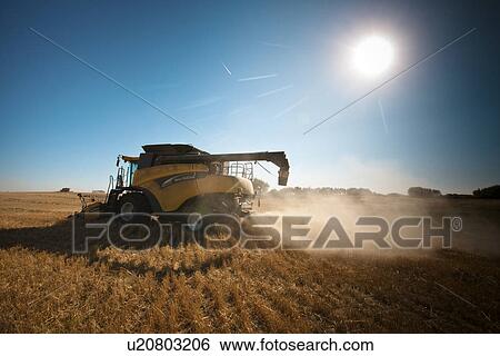 Stock Photograph - Combine in field with dust and chafe, Redvers, Saskatchewan, Canada. Fotosearch