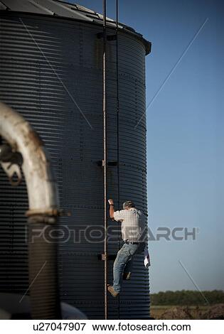 Stock Photo - Farmer climbing up ladder on steel bin, Redvers, Saskatchewan, Canada. Fotosearch