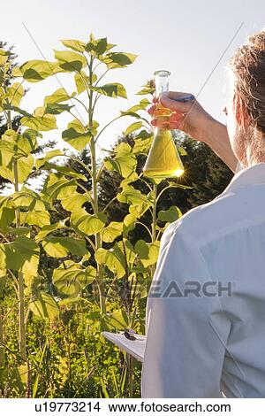 Picture - Female scientist holding beaker, Manitoba, Canada. Fotosearch