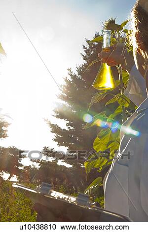 Stock Image - Female scientist holds flask up to sun, Manitoba, Canada. Fotosearch