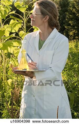 Stock Photo - Female scientist with flask, clipboard, besdie field of sunflowers, Manitoba, Canada. Fotosearch
