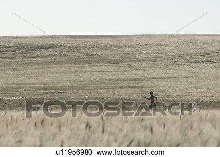 Fields of grain, woman running in distance, Manitoba, Canada View Large Photo Image Stock Image - Fields of grain, woman running in distance, Manitoba, Canada. Fotosearch