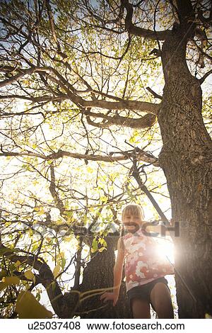 Stock Photo - Five year old girl in tree, autumn, Redvers, Saskatchewan, Canada. Fotosearch