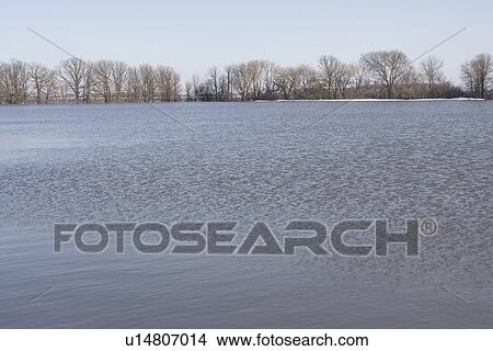 Floodwaters from Red River make field look like a lake, rural Manitoba View Large Photo Image Picture - Floodwaters from Red River make field look like a lake, rural Manitoba. Fotosearch