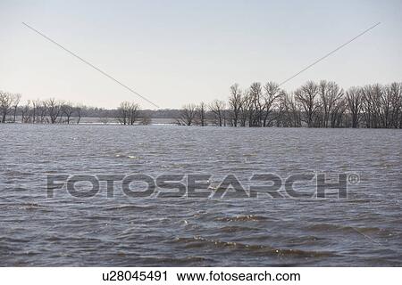 Stock Image - Floodwaters from Red River make field look like a lake, rural Manitoba. Fotosearch