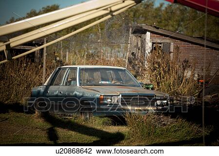 Old car in farmyard, Redvers, Saskatchewan, Canada View Large Photo Image Stock Image - Old car in farmyard, Redvers, Saskatchewan, Canada. Fotosearch