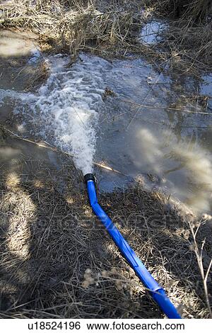 Pumping floodwater, spring flooding of Red River, rural Manitoba View Large Photo Image Stock Photograph - Pumping floodwater, spring flooding of Red River, rural Manitoba. Fotosearch