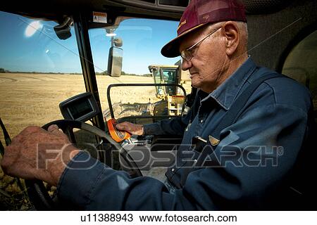 Stock Image - Senior farmer in cab of combine, with second combine parallel, Redvers, Saskatchewan, Canada. Fotosearch