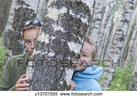 Stock Photography - Sisters peek out from either side of poplar tree, Manitoba, Canada. Fotosearch