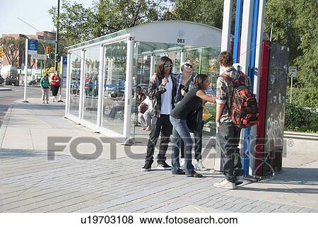 Teens checking schedule at transit shelter, Winnipeg, Manitoba, Canada View Large Photo Image Stock Photo - Teens checking schedule at transit shelter, Winnipeg, Manitoba, Canada. Fotosearch