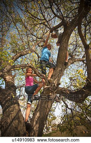 Ten and twelve year old girls and twelve year old boy in tree; autumn; Redvers, Saskatchewan, Canada View Large Photo Image Stock Image - Ten and twelve year old girls and twelve year old boy in tree; autumn; Redvers, Saskatchewan, Canada. Fotosearch