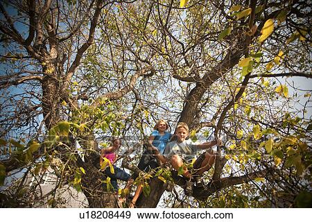 Ten and twelve year old girls and twelve year old boy in tree; autumn; Redvers, Saskatchewan, Canada View Large Photo Image Stock Photo - Ten and twelve year old girls and twelve year old boy in tree; autumn; Redvers, Saskatchewan, Canada. Fotosearch