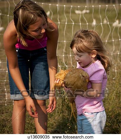 Ten year old girl beside two year old girl holding heritage breed chicken; Redvers, Saskatchewan, Canada View Large Photo Image Stock Photography - Ten year old girl beside two year old girl holding heritage breed chicken; Redvers, Saskatchewan, Canada. Fotosearch