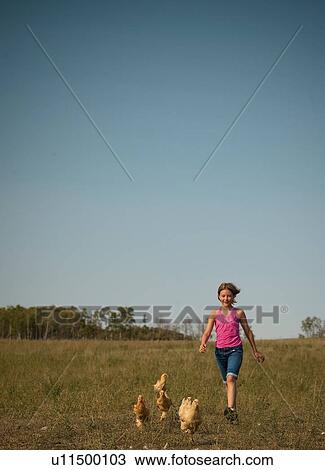 Ten year old girl folling flock of heritage breed, free-range chickens; Redvers, Saskatchewan, Canada View Large Photo Image Stock Image - Ten year old girl folling flock of heritage breed, free-range chickens; Redvers, Saskatchewan, Canada. Fotosearch