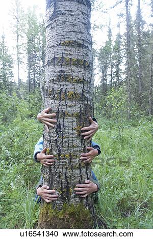 Stock Image - Three pairs of hands around tree, Manitoba, Canada. Fotosearch