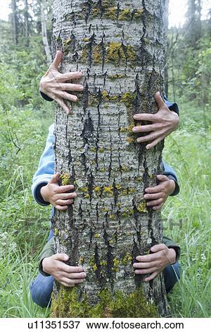 Stock Photo - Three pairs of hands around tree, Manitoba, Canada. Fotosearch