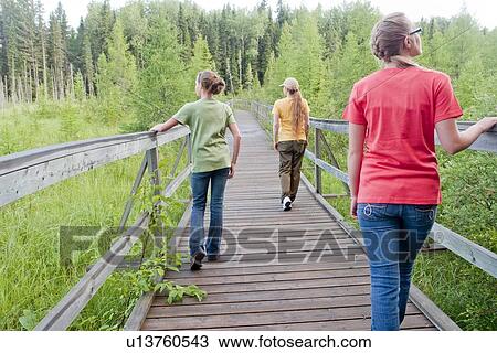 Three women on boardwalk nature trail, Riding Mountain National Park, Manitoba, Canada View Large Photo Image Stock Image - Three women on boardwalk nature trail, Riding Mountain National Park, Manitoba, Canada. Fotosearch