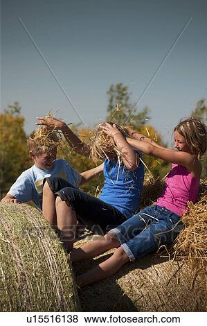 Tweens on bales put straw in each others hair; Redvers, Saskatchewan, Canada View Large Photo Image Stock Photo - Tweens on bales put straw in each others hair; Redvers, Saskatchewan, Canada. Fotosearch