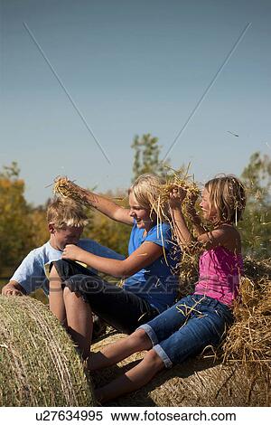 Tweens on bales put straw in each others hair; Redvers, Saskatchewan, Canada View Large Photo Image Stock Photography - Tweens on bales put straw in each others hair; Redvers, Saskatchewan, Canada. Fotosearch