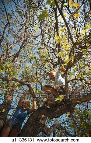 Stock Image - Twelve year old boy and girl in tree, Redvers, Saskatchewan, Canada. Fotosearch