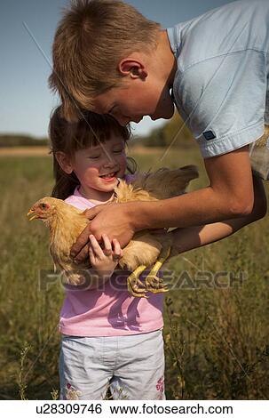 Stock Photograph - Twelve year old boy hands chicken (heritage breed, free-range) to two-year old girl; Redvers, Saskatchewan, Canada. Fotosearch