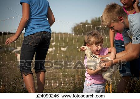 Stock Photograph - Twelve year old boy hands chicken to 2 year old girl; Redvers, Saskatchewan, Canada. Fotosearch