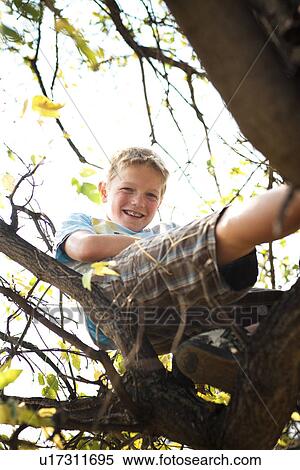 Stock Photography - Twelve year old boy in tree, autumn; Redvers, Saskatchewan, Canada. Fotosearch