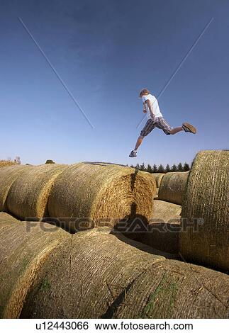 Twelve year old boy leaps between bales; Redvers, Saskatchewan, Canada View Large Photo Image Stock Photograph - Twelve year old boy leaps between bales; Redvers, Saskatchewan, Canada. Fotosearch