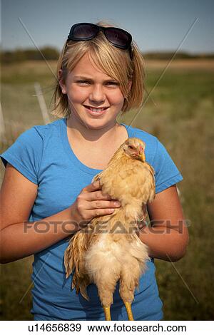 Twelve year old girl holding heritage breed of free range chicken; Redvers, Saskatchewan, Canada View Large Photo Image Stock Photo - Twelve year old girl holding heritage breed of free range chicken; Redvers, Saskatchewan, Canada. Fotosearch