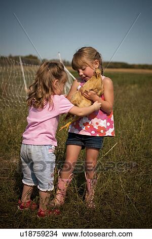 Picture - Two year old girl and five year old girl holding chicken; Redvers, Saskatchewan, Canada. Fotosearch