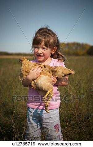 Two year old girl hold heritage breed, free-range chicken; Redvers, Saskatchewan, Canada View Large Photo Image Stock Photo - Two year old girl hold heritage breed, free-range chicken; Redvers, Saskatchewan, Canada. Fotosearch