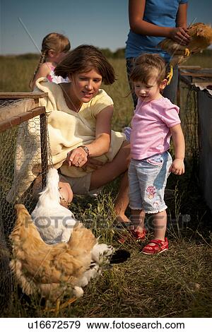 Woman and children looking at heritage breed free range chickens; Redvers, Saskatchewan, Canada View Large Photo Image Stock Photo - Woman and children looking at heritage breed free range chickens; Redvers, Saskatchewan, Canada. Fotosearch