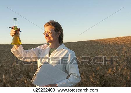Stock Image - Woman holding flask and clipboard in field of grain, Manitoba, Canada. Fotosearch