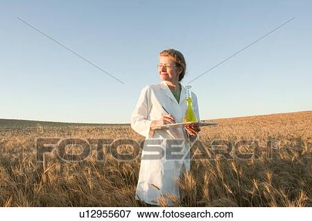Stock Photo - Woman holding flask and clipboard in field of grain, Manitoba, Canada. Fotosearch